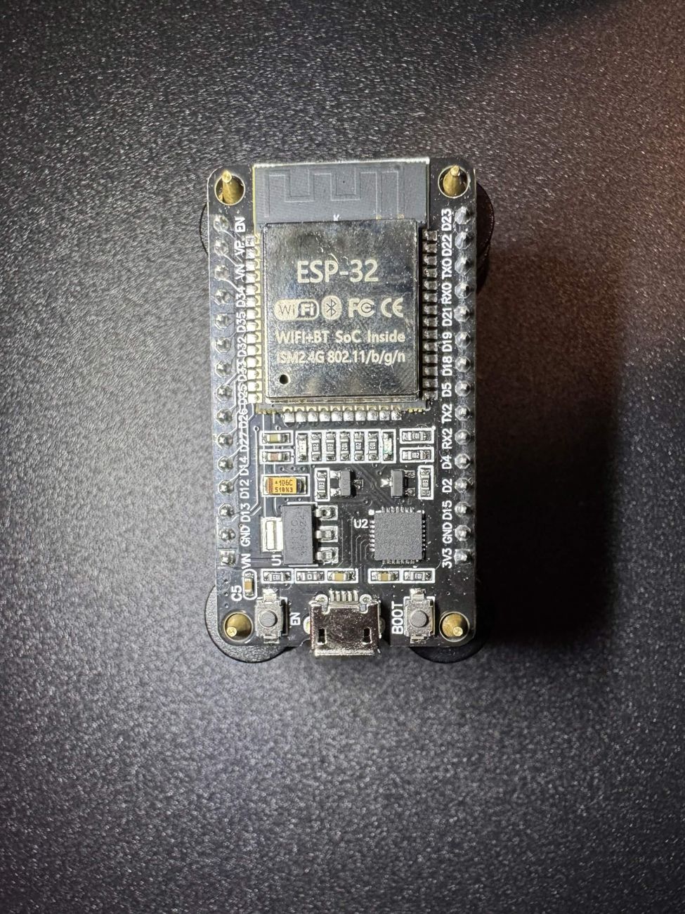 ESP32 dev board